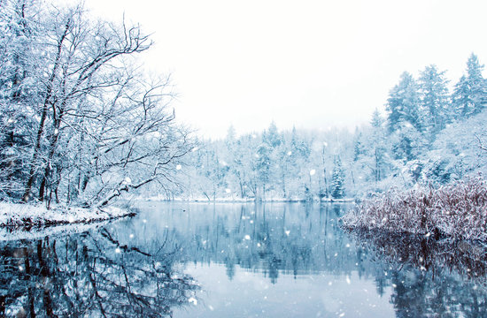 Frozen lake in snowy forest.
