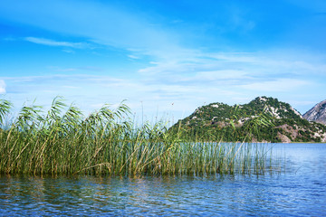 Naklejka na ściany i meble Skadar Lake National Park, Montenegro