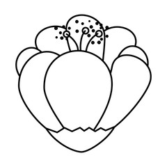 cute flower decorative icon