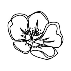 cute flower decorative icon