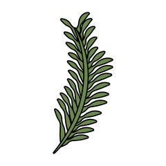 branch with leafs icon