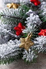 Christmas background with branch of tree 
