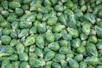 An Abundance of Sprouts on a Market Stall