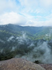 Fototapeta premium YAKUSHIMA