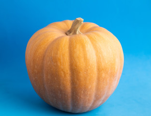 pumpkin on colorful background