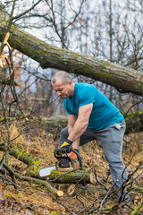 Forestry worker - lumberjack works with chainsaw. He cuts a big tree in forest.