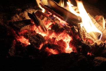 coals of a campfire in the forest close-up