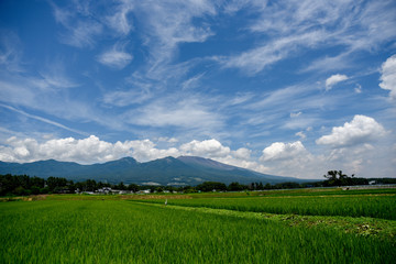 浅間山の裾に広がる田園風景