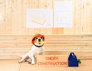 Amusing builder in hardhat at construction site next to beam with label 