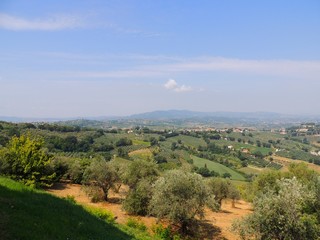 Landscape from Montefalco, a town in Umbria that is famous for the red wine "Sagrantino" production.