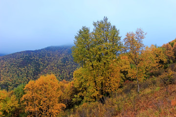 Obraz premium mountain natural scenery
