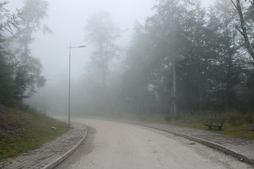 Road fog mist mountain forest park 