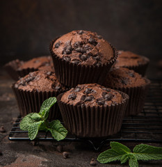 delicious chocolate muffins on  dark background