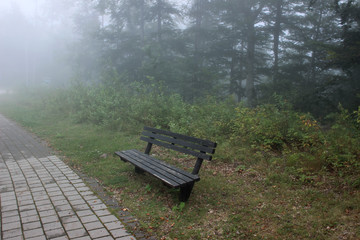 Bench fog mountain park forest 