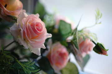 pink roses bouquet, selective focus