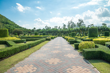 Obraz premium Walkway in beautiful tropical garden landscape in nature city park in summer season sunny day with blue sky white clouds. Green nature environmental concept.