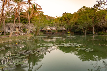 Fototapeta na wymiar Peaceful pond with reflection on the water