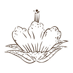 cute flower with leafs decorative