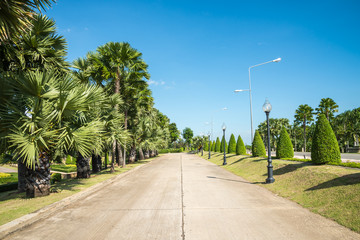Fototapeta na wymiar Street in beautiful tropical garden landscape in nature city park in summer season sunny day with blue sky white clouds. Green nature environmental concept.