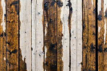 Background made of vertical wooden boards.
