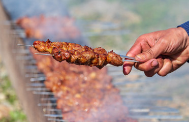 Kebab on sticks fried on coals in nature
