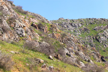 Hills covered with green grass in spring