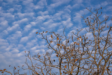 The sky is a photo theme before an eye always. Cannot be got bored game.