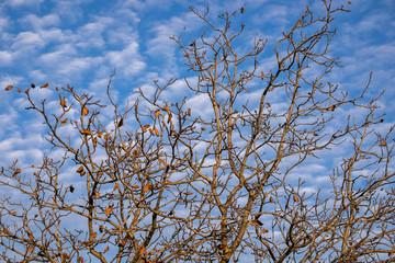 The sky is a photo theme before an eye always. Cannot be got bored game.