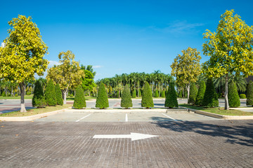 Empty space in city park outdoor concrete parking lot area with blue sky in summer season. Green nature gardening in car parking lot. Friendly environmental and transportation concept. © pla2na