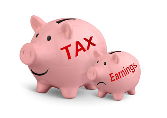 High taxes creative concept, two piggy banks on white