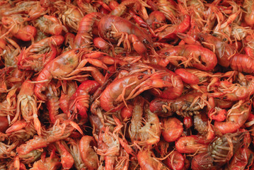 acociles comida lacustre estado de mèxico