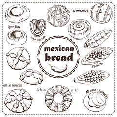 Mexican bakery , sketch doodle . Conchas hand drawn illustration. Can be used for a menu of Mexican cuisine. vintage pattern design, banner.