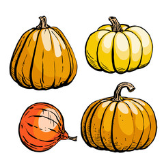 Colored sketch of pumpkin isolated on white background. Hand drawn vector illustration. Retro style.