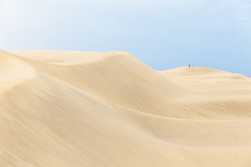 Desert, sand dunes with footprints. Canary islands, Maspalomas.