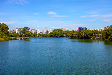 Fototapeta na wymiar Amazing view of Sao Paulo city from Ibirapuera Park , Brazil. The Ibirapuera is one of Latin America largest city parks.