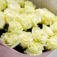 Closeup square photo of red and pink, white roses