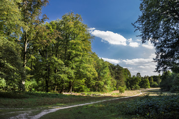 Sommer im Niendorfer Gehege in Hamburg