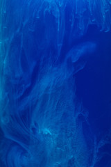 Abstract pattern falling into the water drop of blue ink - cyan ink dissolved in water on blue