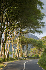 Fototapeta na wymiar Open Road, Kylemore Lough Lake; Connemara National Park