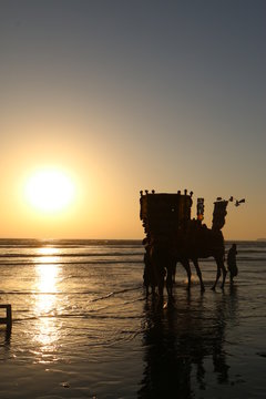 Momentos en el atardecer