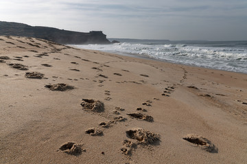 Nazare north beach, Portugal.