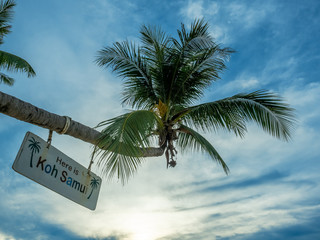 Seascape view under twilight evening sky