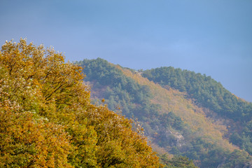 Fototapeta na wymiar autumn in the mountains in Korea