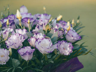 Fresh flowers of Lisianthus close-up for your wedding decoration. Beautiful bouquet of Eustoma,...