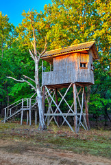 Nice wooden house in the branches of the tree