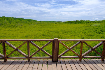 Fototapeta na wymiar wooden bridge in the green field