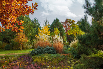 Beautiful alpine hill with trees, shrubs and ornamental grasses in the autumn park. It's a nasty day.