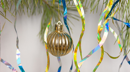 Golden Christmas ball close-up on a pine branch