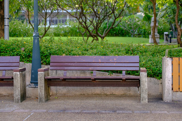 wooden bench in the park
