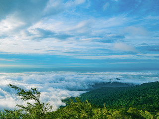 Beautiful Sky with Sea of the mist of fog in the morning on Khao Luang mountain in Ramkhamhaeng National Park,Sukhothai province Thailand